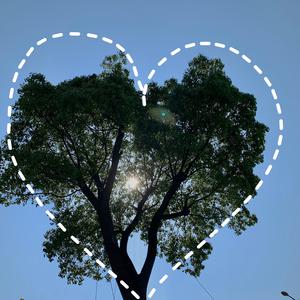 丰满双乳的一级A片
