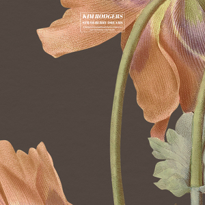 丰满双乳的一级A片
